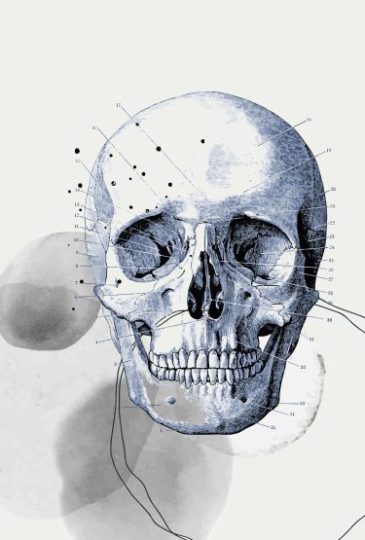 szkolenie osteopatia